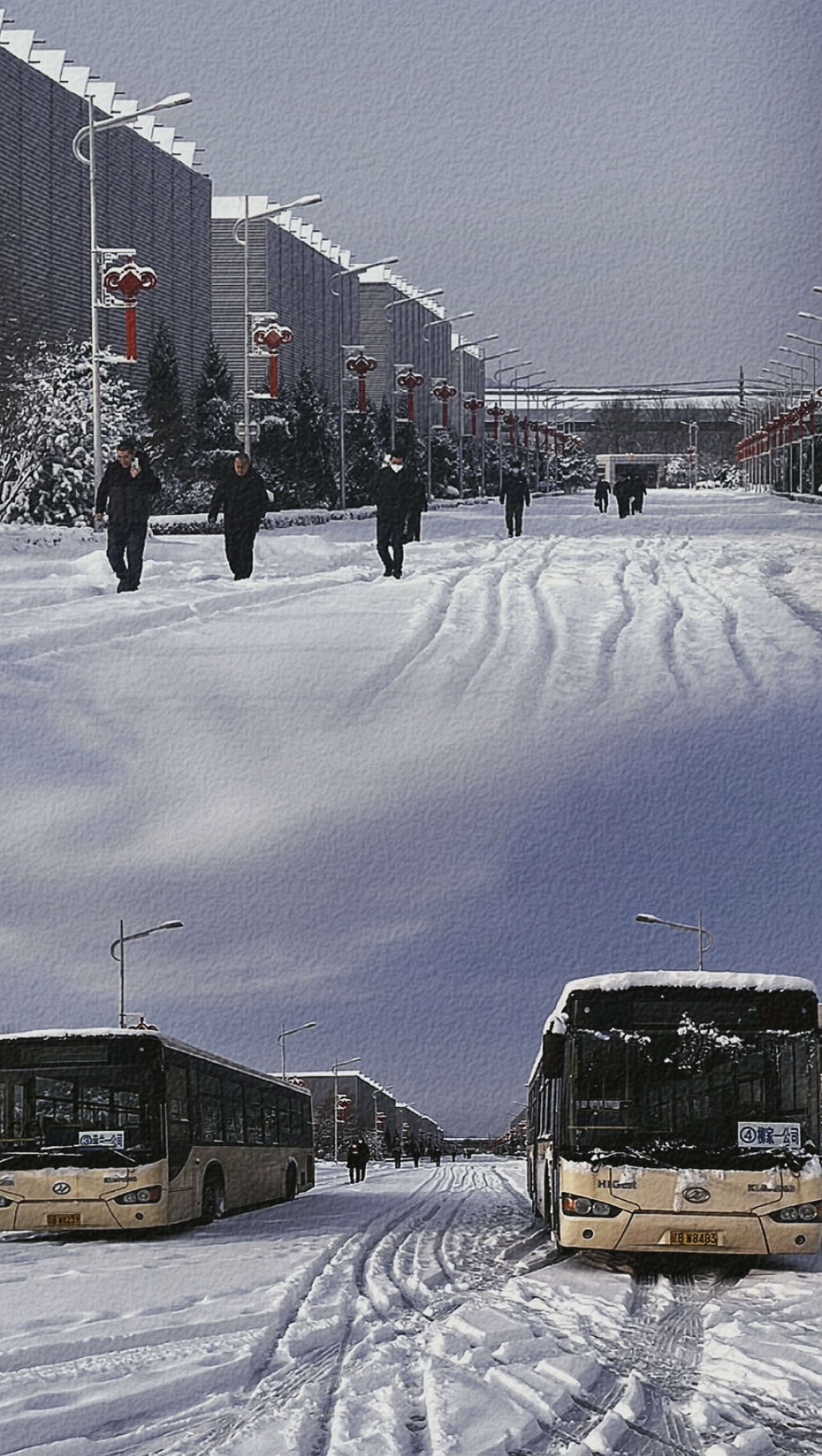 IMG_8398.PNG