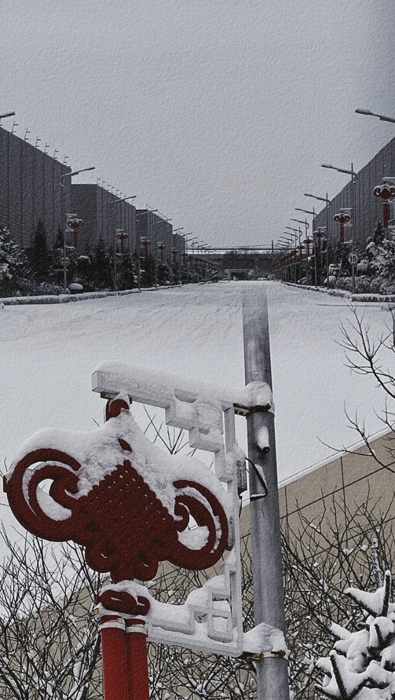 IMG_8415(20221212-110533).PNG